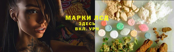 стафф Вязьма