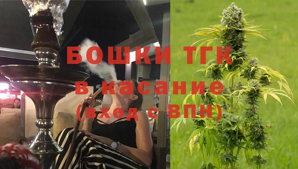 соль ск Горнозаводск