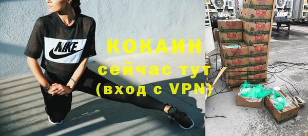 стафф Вязьма