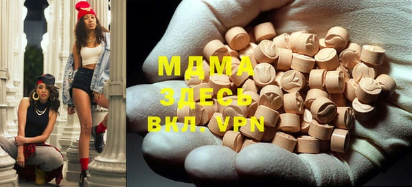 индика Елабуга